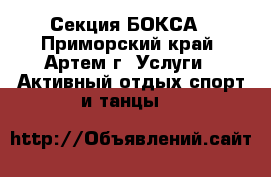 Секция БОКСА - Приморский край, Артем г. Услуги » Активный отдых,спорт и танцы   